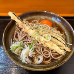 茄子天そば(420円)+生玉子(60円)