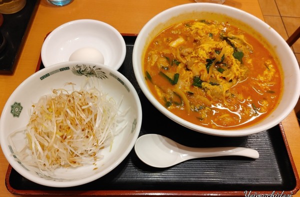 「チゲ味噌ラーメン（690円）、温泉玉子（120円）、細切りネ」@日高屋 さいたま新都心店の写真