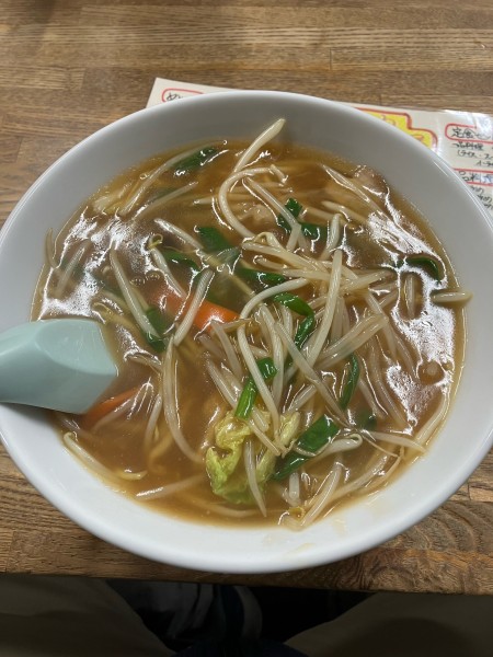 「もやしラーメン」@嵐屋の写真
