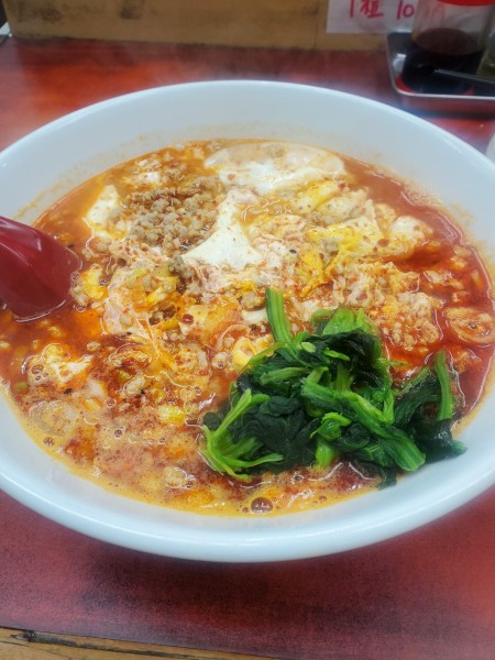 「上大岡西たんたたん太麺９００円中辛」@らーめん ドラごんちの写真