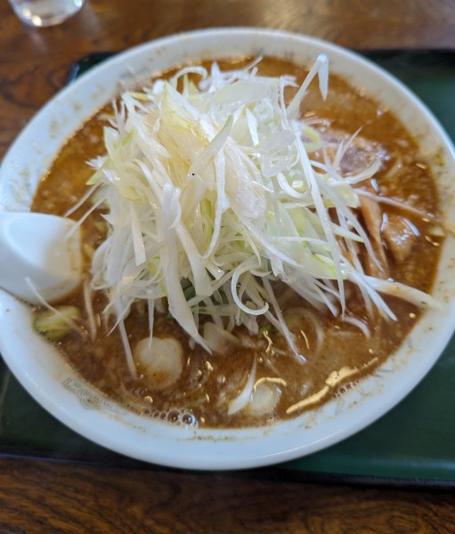 「みそにぼし 大盛(無料)+ネギ+辛みそ変更」@北海とんこつらーめん 純輝 潮来本店の写真