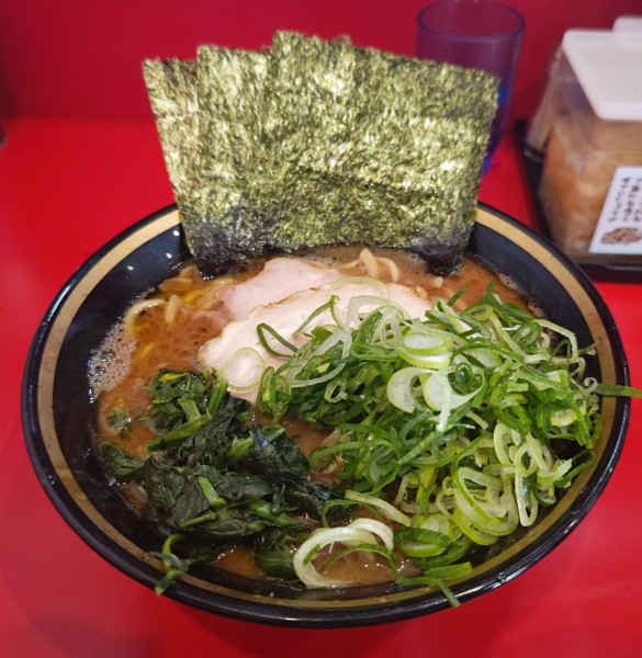 「特製ラーメン（並）」@横濱家系ラーメン 野中家の写真