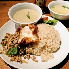 ガッチキの画像