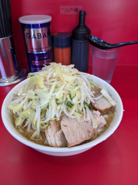 「小（麺少な目？）」@ラーメン二郎 生田駅前店の写真