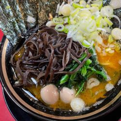 ラーメン＋のり＋きくらげ＋薬味ねぎ