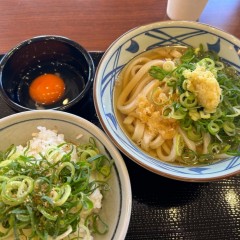 丸亀製麺 エミオ秋津店の画像