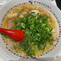 煮玉子ネギラーメン