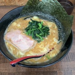 豚骨醤油ラーメン並