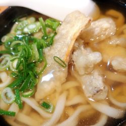ごぼううどん
