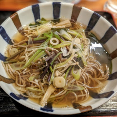 月うさぎの写真