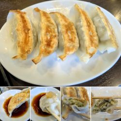 餃子(5個)　380円