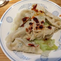 水餃子（¥500）+etc