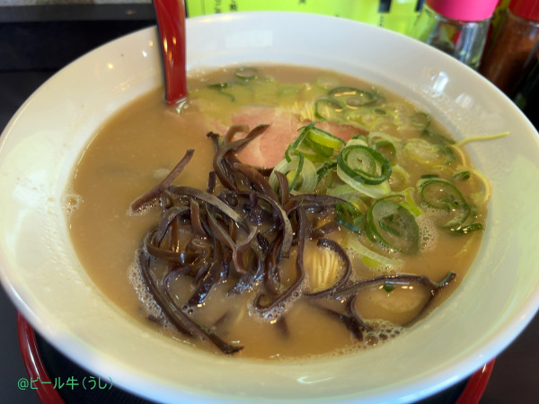 「九州とんこつ　メロディー(1000円)」@九州とんこつラーメン メロディーの写真