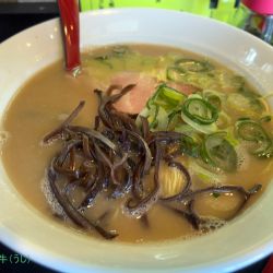 九州とんこつ　メロディー(1000円)