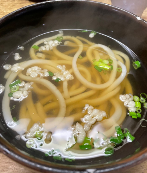 「かけうどん」@手打ちうどんの店 たかはたの写真