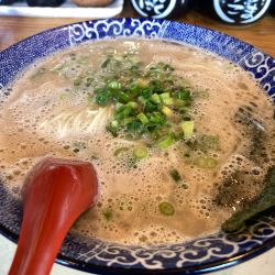 肉なし　こいめ、やわ麺