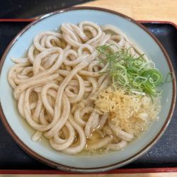 かけうどん 大　600円
