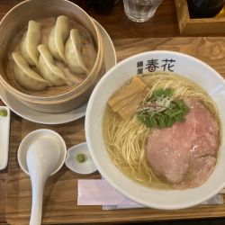 淡麗塩麺+蒸し餃子