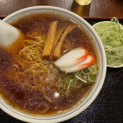 かけそば　トッピングネギ増し