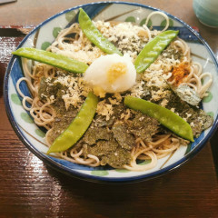 磯おろし 戸隠そば JR静岡駅店の画像