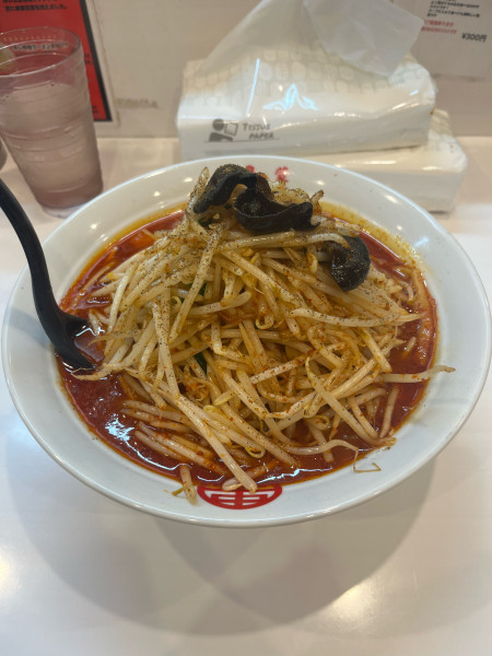 「北極の炎　1,040円　麺大盛り(アプリクーポン)」@蒙古タンメン 中本 柏店の写真