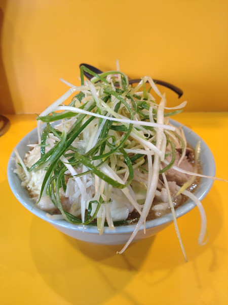 「小ラーメン　エビーレン　ネギ　ニンニク　アブラ」@ラーメン二郎 八王子野猿街道店2の写真