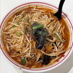 北極の炎 1,040円