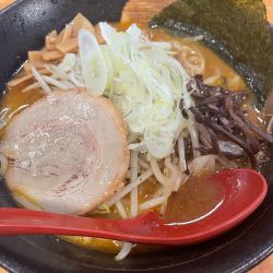 赤味噌らーめん 大盛