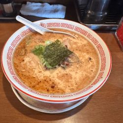 豚骨醤油ラーメン