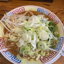 鯖みそラーメン＋ネギ