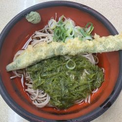 冷しめかぶそば480円モロッコいんげん天50円