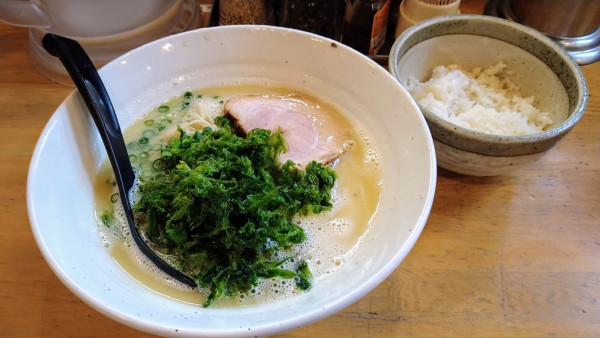 「鶏白湯 塩(麺硬め)+あおさ･ライス」@麺場 鶏源 TORIGEN 黄金町店の写真