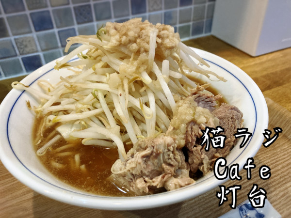 「少食さんラーメン￥790」@猫ラジカフェ灯台の写真