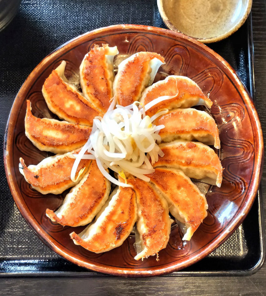 「浜松餃子と肉みそタンタンめんのセット 1140円＋税」@五味八珍 高丘店の写真