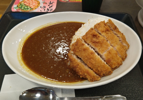 「和風カツカレー」@なか卯 神田岩本町店の写真