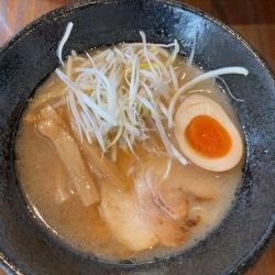 牛骨ラーメン醤油