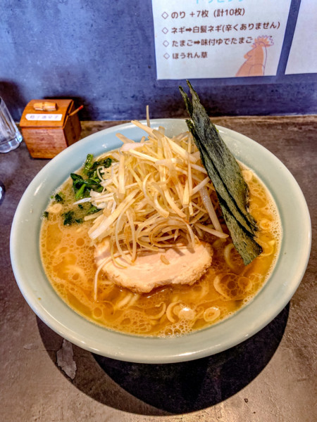 「ネギラーメン中盛」@一乃利の写真
