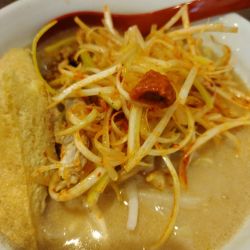 新潟味噌肉ネギラーメン