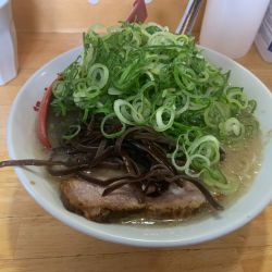 九条ネギ増し豚