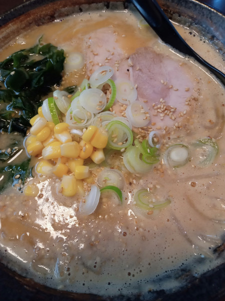 「みそラーメン」@ラーメン だるまやの写真