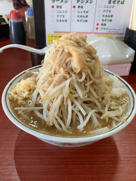 「ラーメン中盛り880円」@ラーメン一太豚の写真