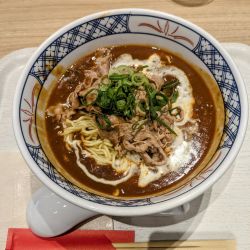 日比谷ハヤシそば