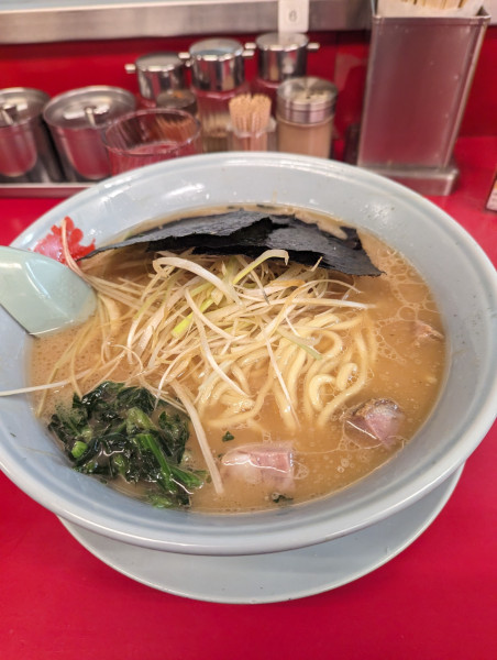「ネギラーメン+大盛り」@ラーメン山岡家 神栖店の写真