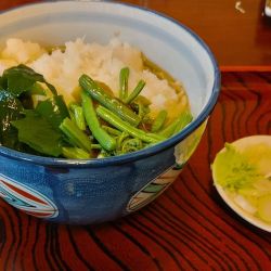 おろしそば（700円）