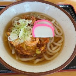 かき揚げうどん