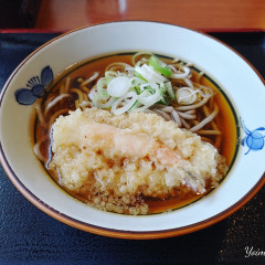 うどん・そば 今庄 高岡駅南口店の画像