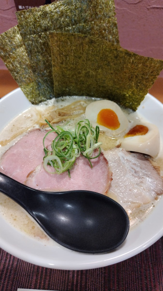 「特製鶏白湯塩らーめん」@我羅奢の写真