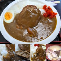 ハンバーグカレー　1100円