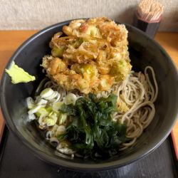 ねぎ天そば(510円)