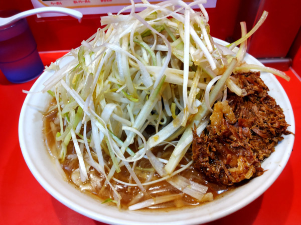 「小らーめん300g､味ネギ､ほぐし豚現金追加」@麺屋 桐龍の写真